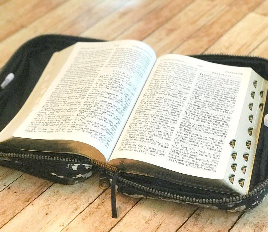 Gray Floral Bible Cover-Modesty n Mind-Bible Covers,Made to Order